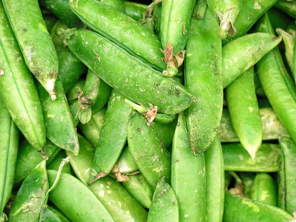 Fresh green bean species — Stock Photo, Image