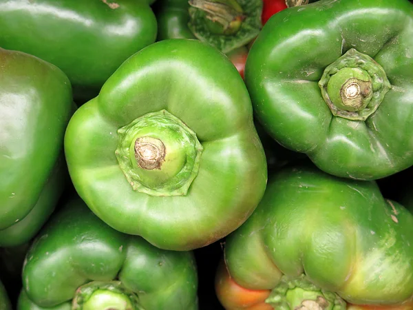 Grüner Pfeffer — Stockfoto