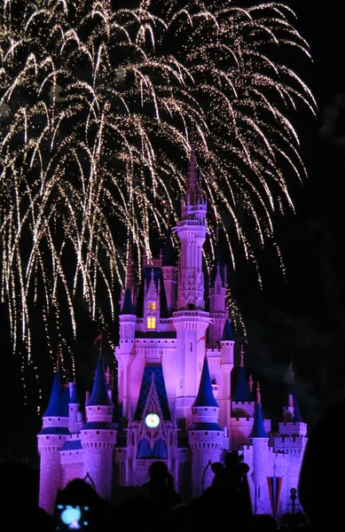 Castle with firework — Stock Photo, Image