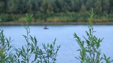 balıkçı içinde belgili tanımlık geçmiş