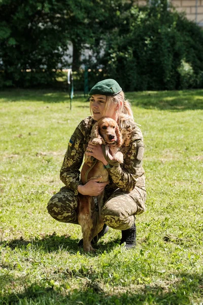 Cynologist with a dog. Service Dog Breed English Cocker Spaniel Dog. Training of working dog outdoors