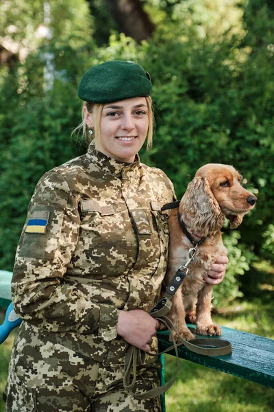 Cynologist with a dog. Service Dog Breed English Cocker Spaniel Dog. Training of working dog outdoors