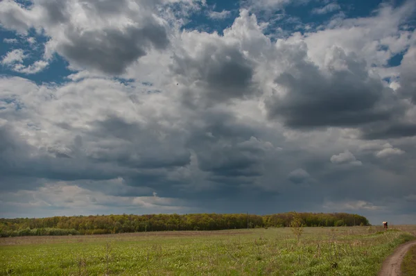 manzara güzel bahar