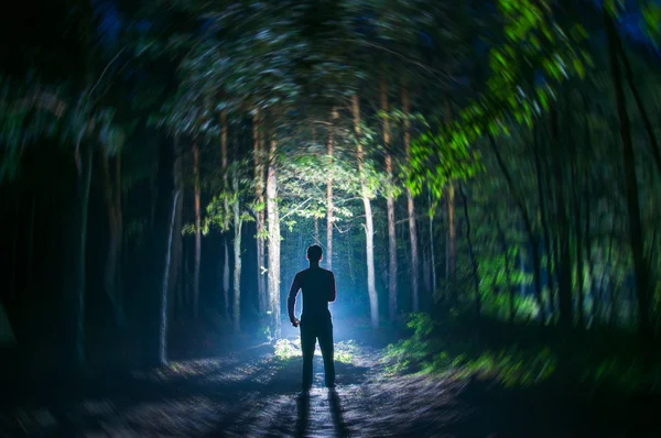 Gece ormanda yalnız bir gezgin