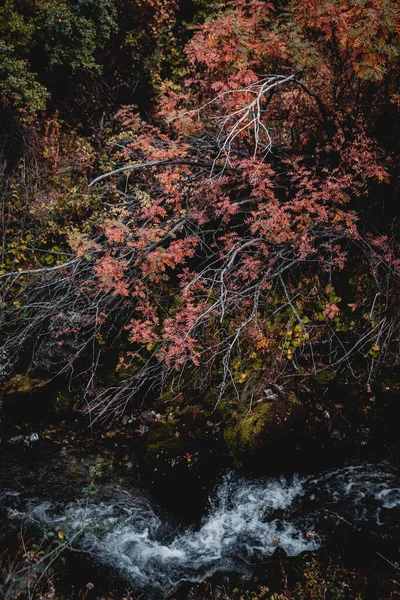 Paisajes de montaña de otoño por la tarde en colores cálidos —  Fotos de Stock