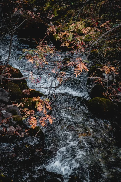 Herbstliche Berglandschaften am Nachmittag in warmen Farben — Stockfoto