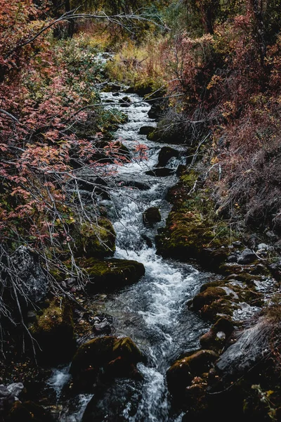 暖かい色で午後の秋の山の風景 — ストック写真