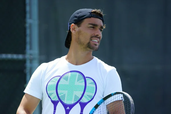 Fabio Fognini (ITA) Ліцензійні Стокові Фото