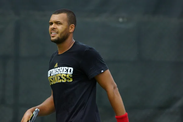 Jo-Wilfried Tsonga (FRA) — Stock Photo, Image