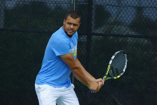 Jo-Wilfried Tsonga (FRA) — Fotografia de Stock