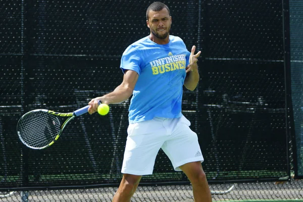 Jo-Wilfried Tsonga (FRA) — Stock Photo, Image