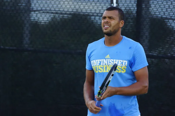 Jo-Wilfried Tsonga (FRA) — Fotografia de Stock