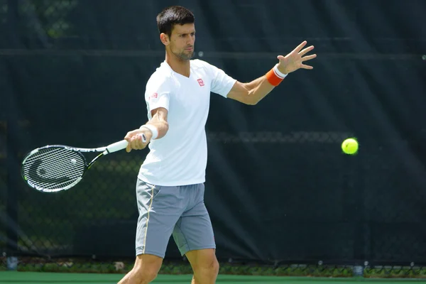 Novak Djokovic (SRB) — Stock Photo, Image