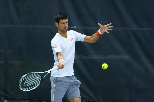 Novak Djokovic (SRB) Stock Photo