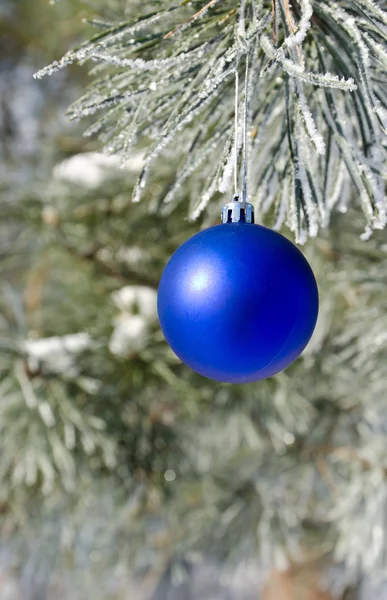 Decoração de árvore de Natal em um pinheiro — Fotografia de Stock