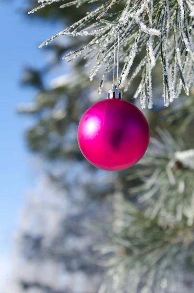 Decoração de árvore de Natal em um pinheiro — Fotografia de Stock