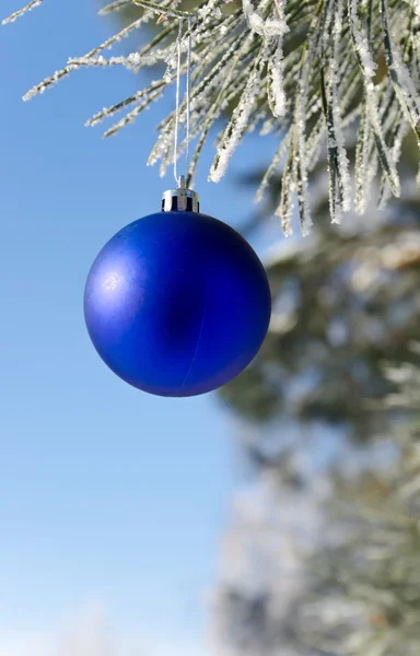 Decoração de árvore de Natal em um pinheiro — Fotografia de Stock