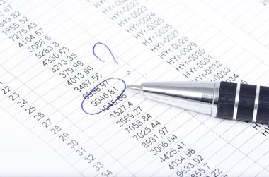 Mutabakat finansal veri