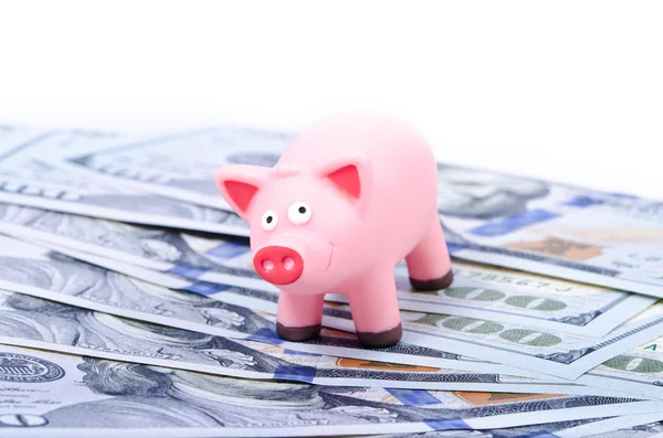 Pig on 100 bills — Stock Photo, Image