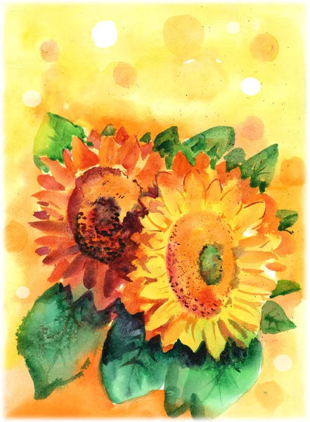 Watercolor drawing of sunflowers. Beautiful orange sunflowers on yellow background