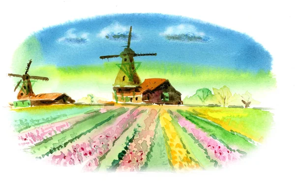 Paysage Aquarelle Moulins Vent Avec Champs Fleuris Paysage Typiquement Hollandais — Photo