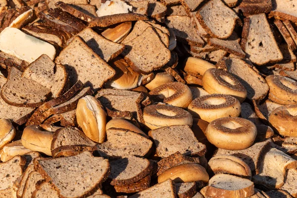 Rotting bread food scraps for organic soil or animal food.