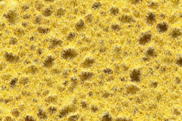 스펀지 오렌지색 스펀지 — 스톡 사진