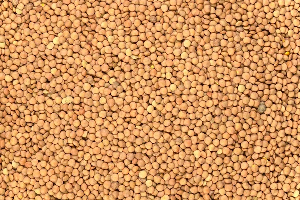 Lentils background and texture. Top view. — Stock Image Lentils Background Texture Top View Royalty Free Stock Photos