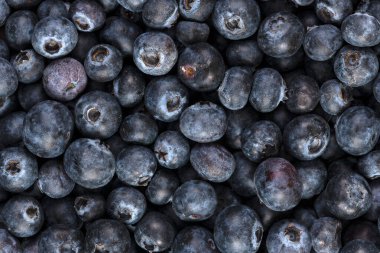 Bir demet organik yabanmersini, arkaplan ve doku..