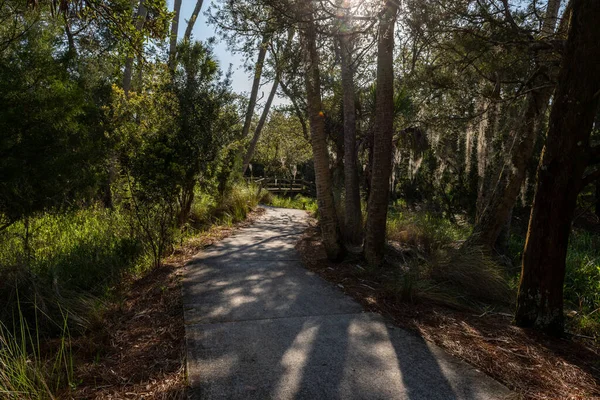 Wild Dunes Resort, South Carolina, USA - April 6, 2021. Wooden bridge in the woods, Wild Dunes Resort, Isle of Palms, South Carolina.