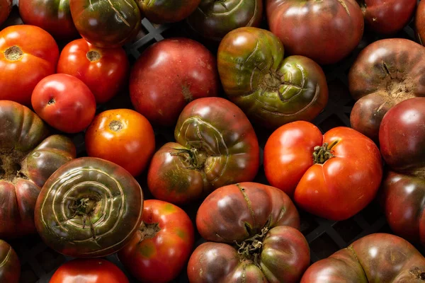 Ekologiska Tomater Jordbruksmarknaden Visas Upp För Försäljning Ekologisk Odling Eller — Stockfoto