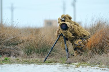 vahşi yaşam fotoğrafçısı açık