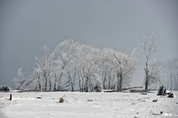 Paisaje invierno —  Fotos de Stock