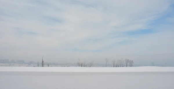 Paisaje invierno —  Fotos de Stock