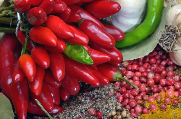 Especiarias e legumes coloridos — Fotografia de Stock