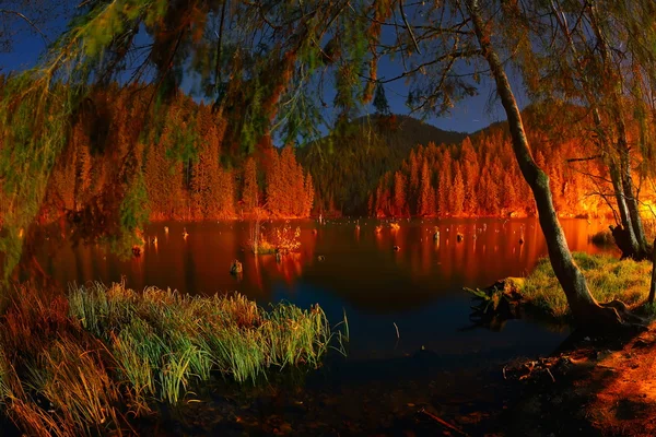 El Lago Rojo o Lago Asesino, Cárpatos Orientales, Rumania Imagen de archivo