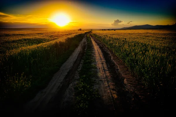 Paisaje con campos en verano al atardecer, Dobrogea, Rumania —  Fotos de Stock