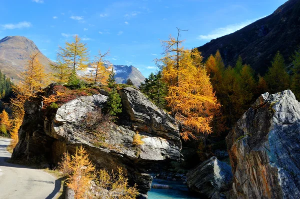 Горный пейзаж - Иннергшлосс, Австрия — стоковое фото