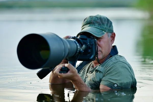 Vahşi yaşam fotoğrafçısı açık, suda ayakta — Stok fotoğraf