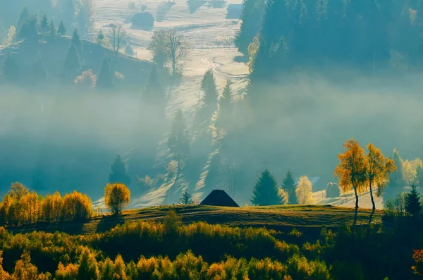 Autumn landscape — Stock Photo, Image