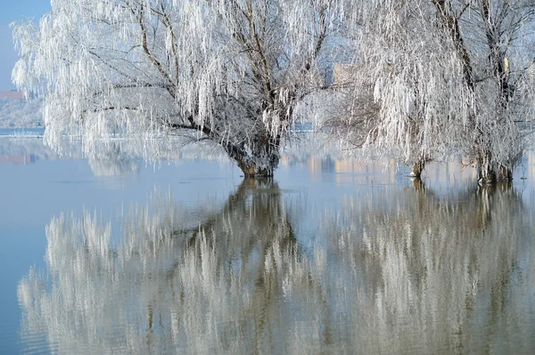 Paesaggio invernale — Foto Stock