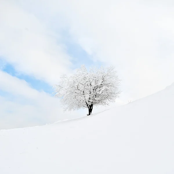 Bellissimo paesaggio invernale — Foto Stock