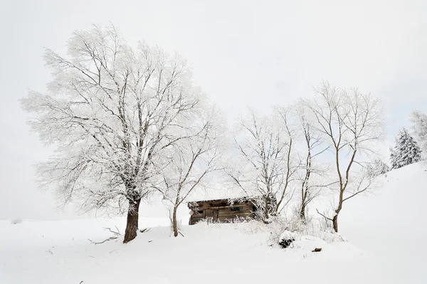 Hermoso paisaje de invierno — Foto de Stock