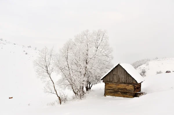 Zimní krajina — Stock fotografie