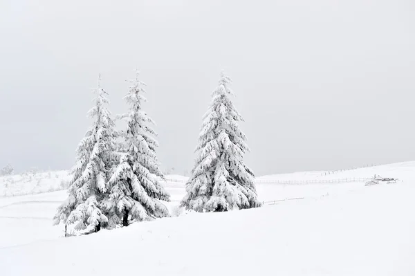 Beautiful winter landscape — Stock Photo, Image