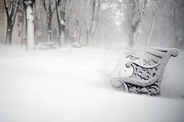 Bancos no parque coberto de neve no inverno — Fotografia de Stock