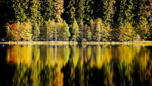 Sonbahar manzarası — Stok fotoğraf