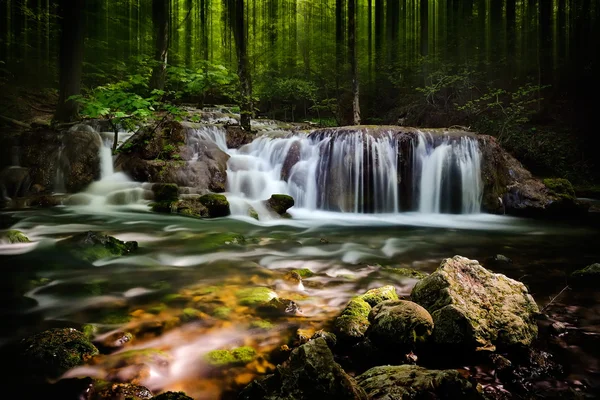 Vattenfall i skogen — Stockfoto