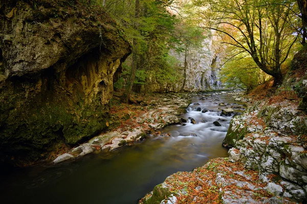 Río de montaña — Foto de Stock