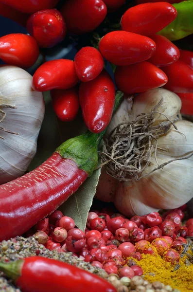 カラフルなスパイスと野菜 — ストック写真